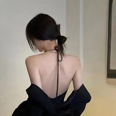 大使阁下的料理人
